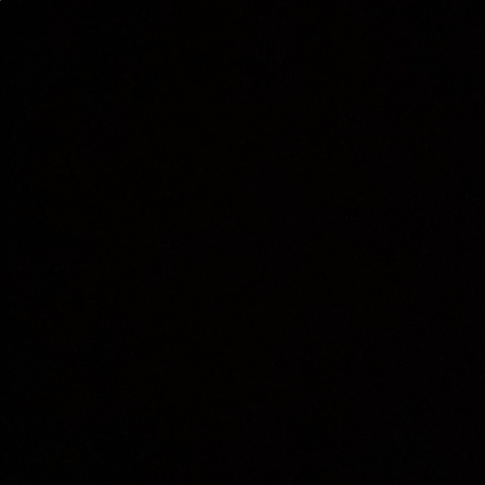 Meet your Posher, Tracei